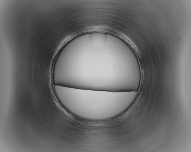 X0000116580994200912101305