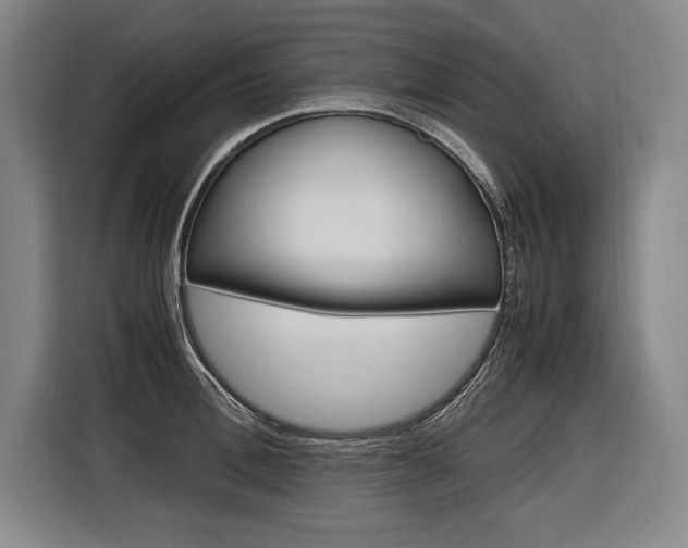 X0000116580996200912101305