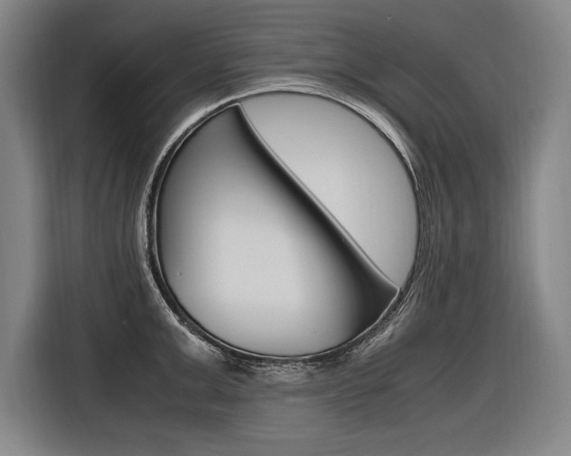 X0000116580999200912101305