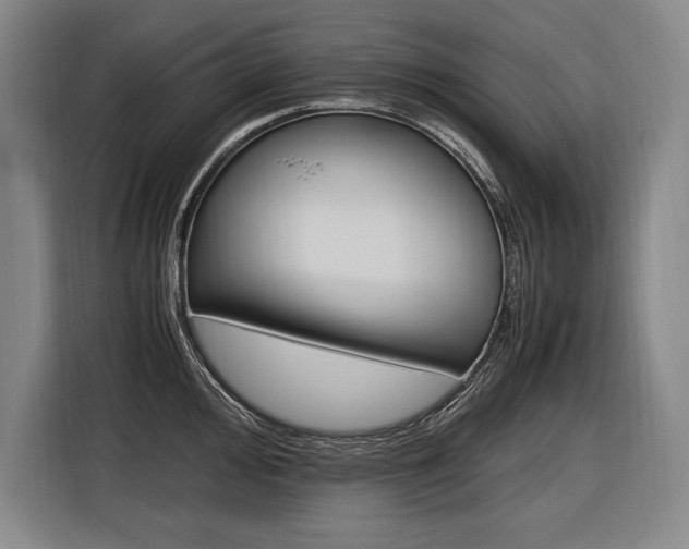 X0000116581000200912101305