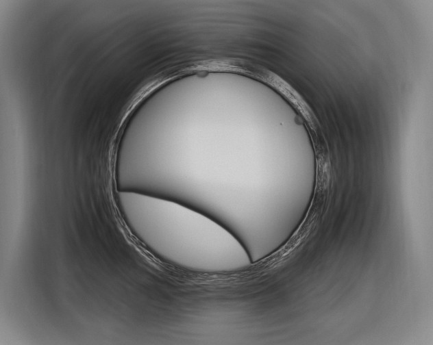 X0000116581002200912101305