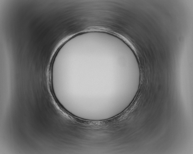 X0000116581003200912101305