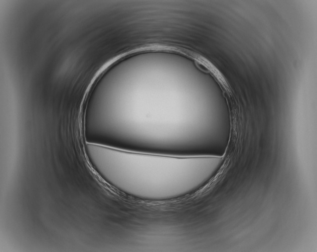X0000116581004200912101305