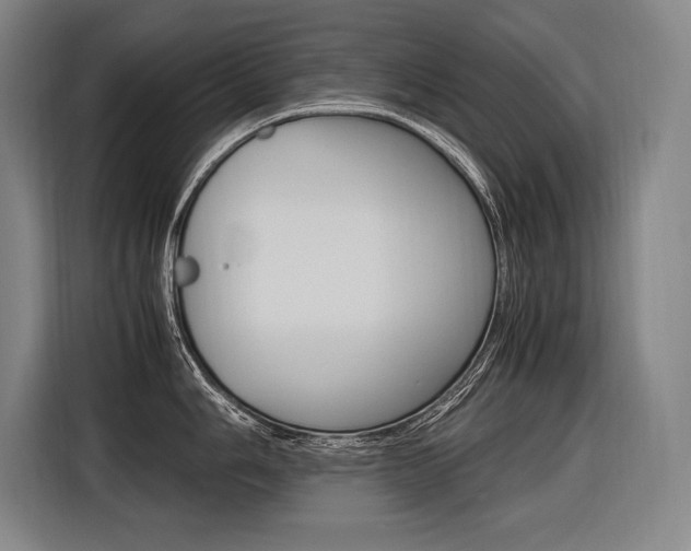 X0000116581006200912101305