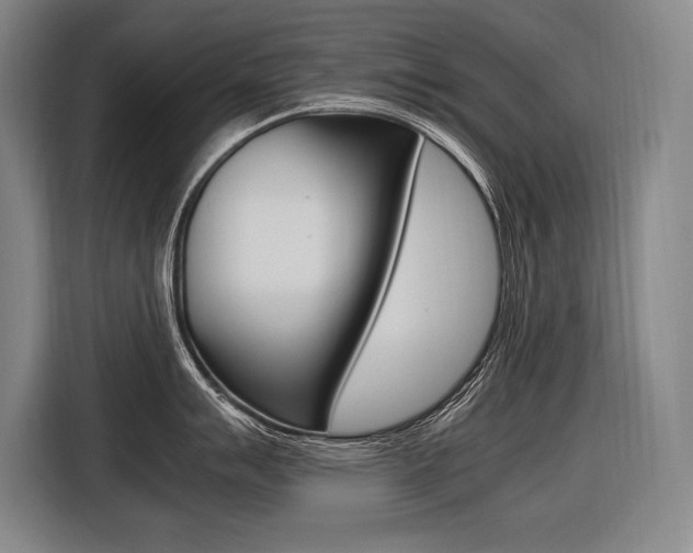 X0000116581007200912101305