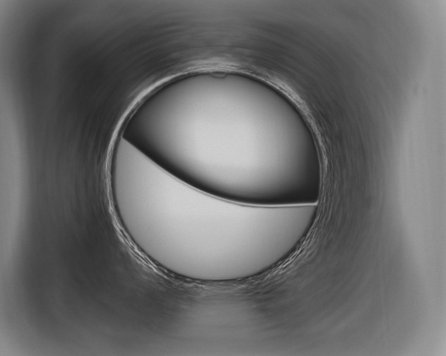 X0000116581008200912101305