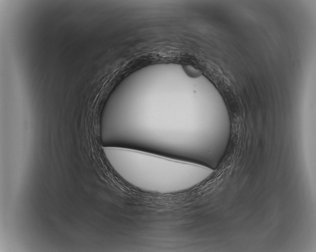 X0000116581009200912101305