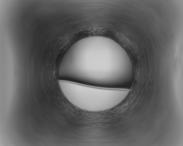X0000116581010200912101305