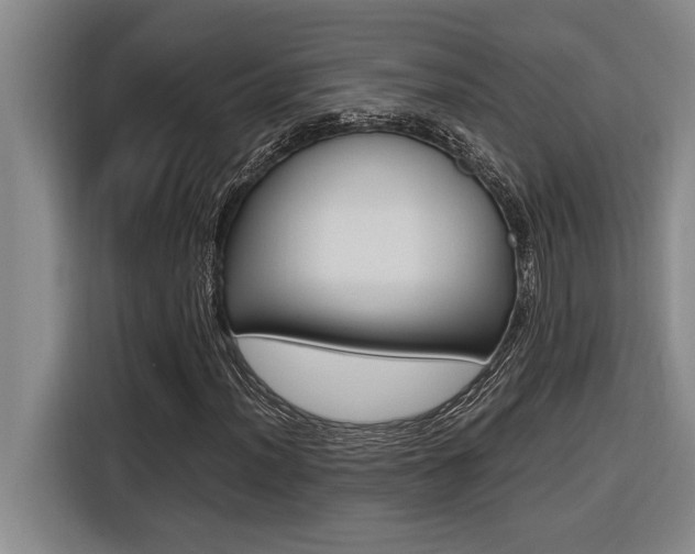 X0000116581012200912101305