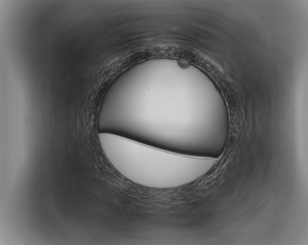 X0000116581013200912101305
