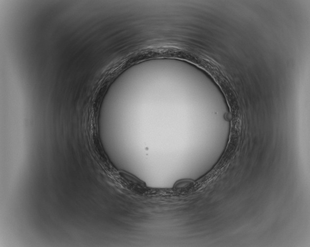 X0000116581014200912101305