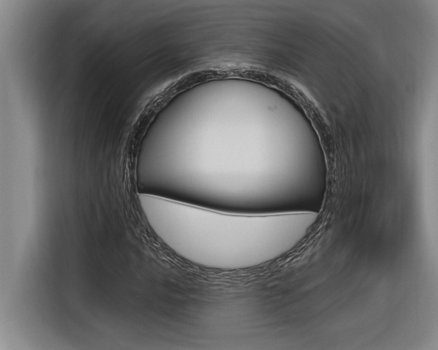 X0000116581016200912101305