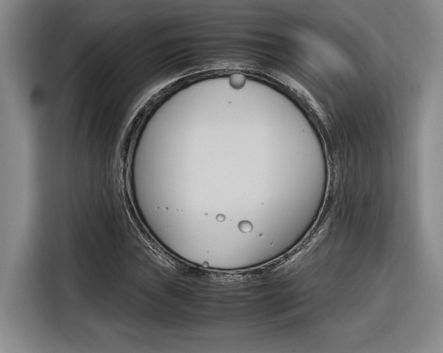 X0000116581019200912101305