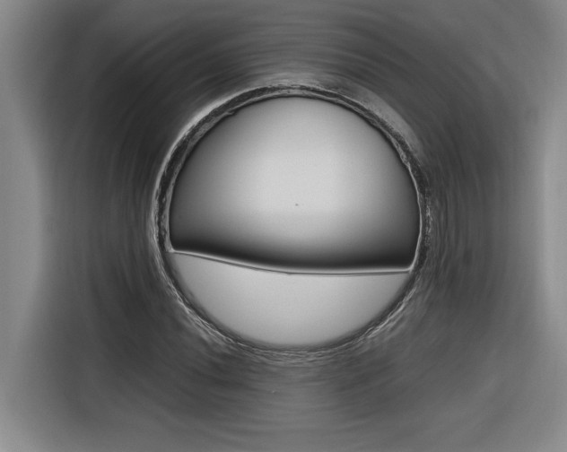 X0000116581020200912101305