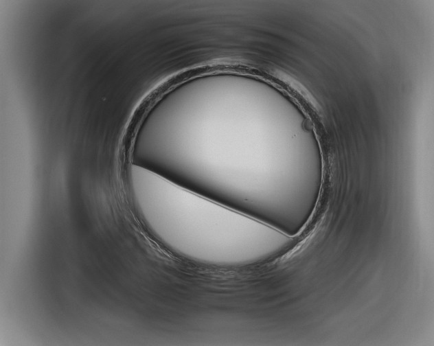 X0000116581021200912101305