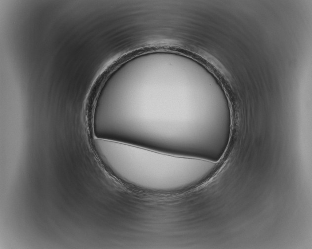 X0000116581022200912101305