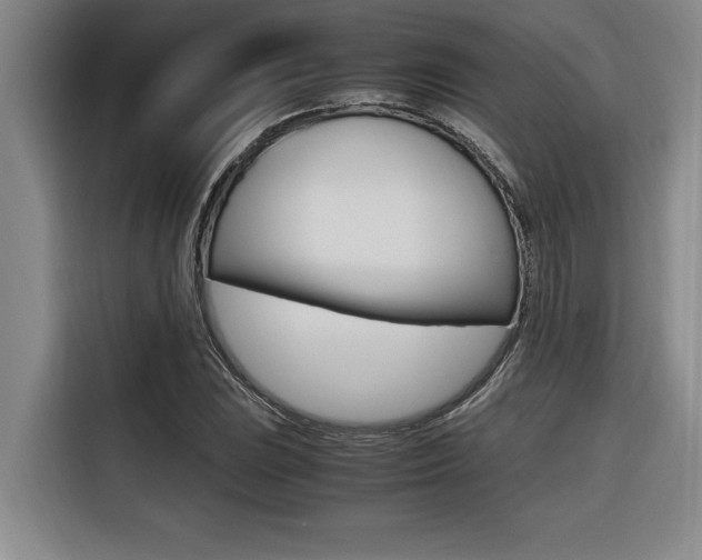 X0000116581023200912101305