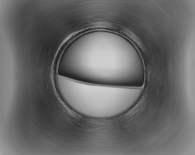 X0000116581024200912101305