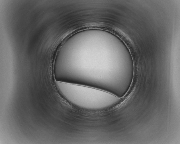 X0000116581025200912101305