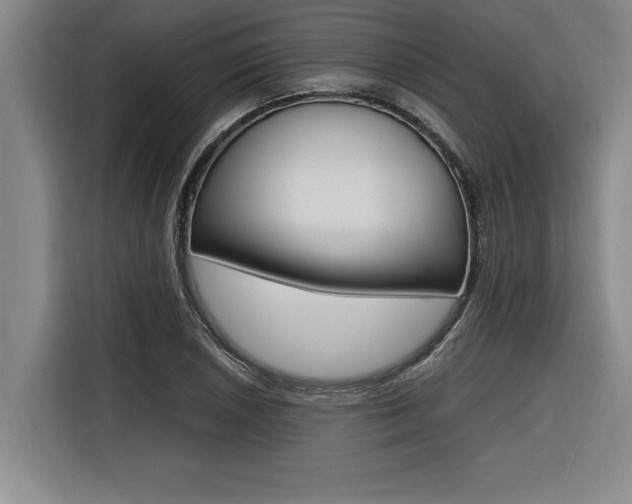 X0000116581026200912101305
