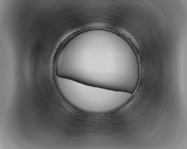 X0000116581027200912101305