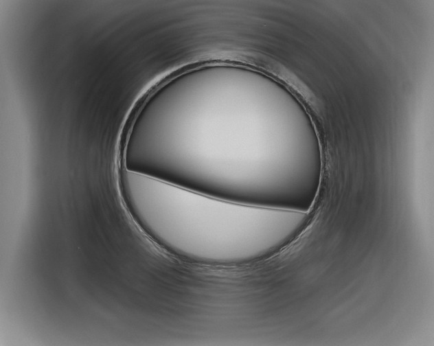 X0000116581028200912101305