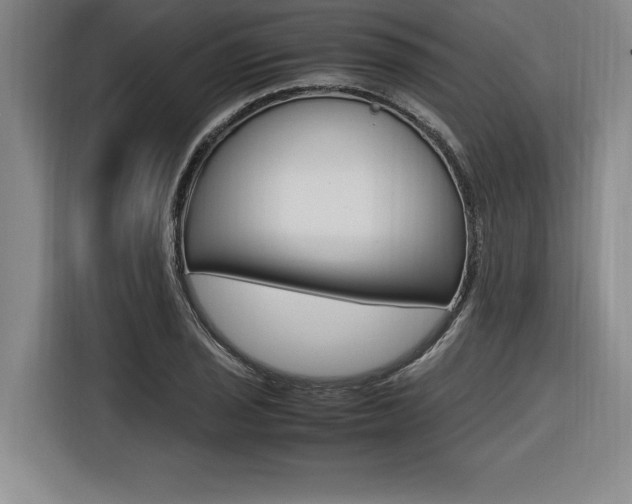 X0000116581029200912101305