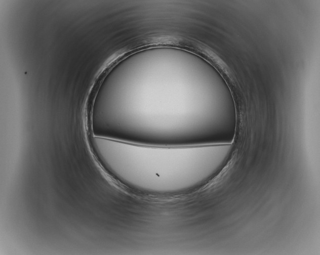 X0000116581034200912101305