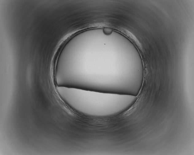 X0000116581035200912101305
