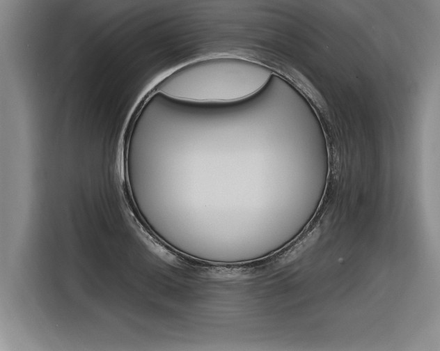 X0000116581036200912101305