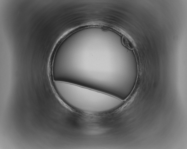 X0000116581037200912101305