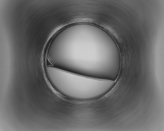 X0000116581038200912101305