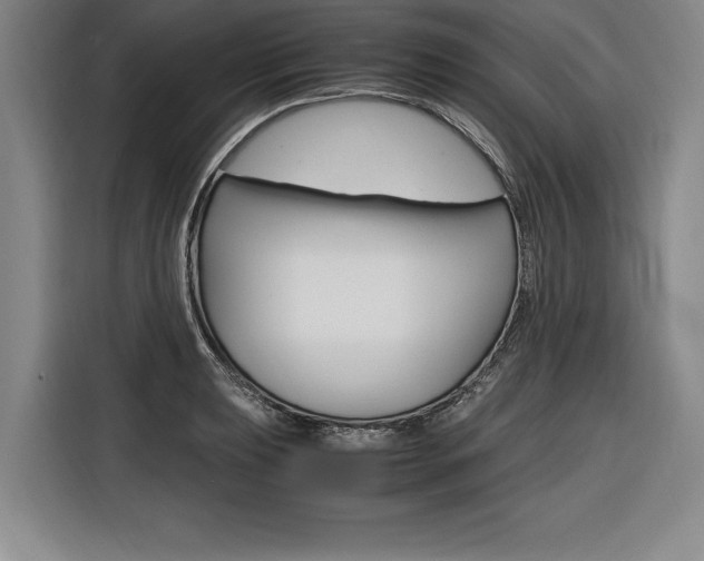X0000116581039200912101305