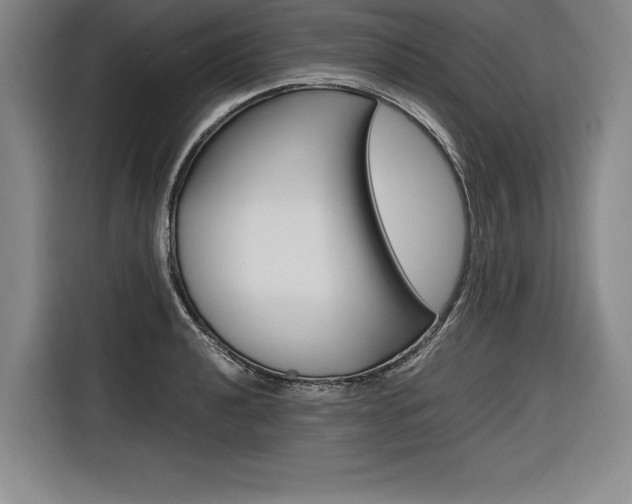 X0000116581040200912101305