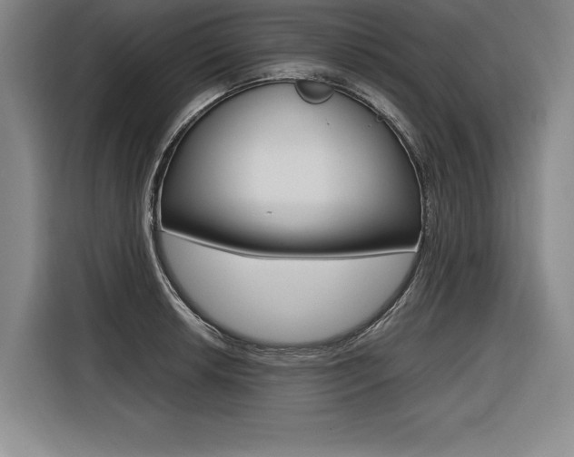 X0000116581042200912101305