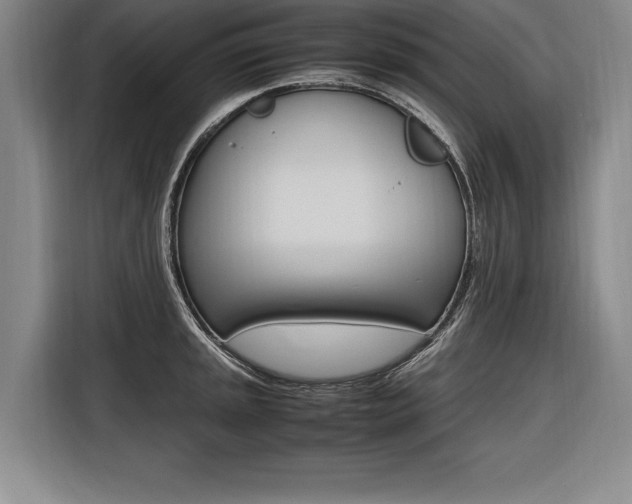 X0000116581045200912101305