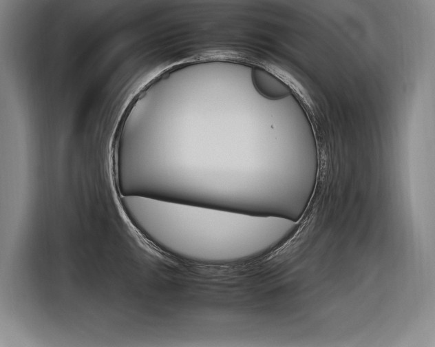X0000116581047200912101305