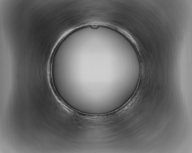 X0000116581048200912101305