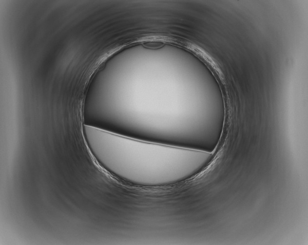 X0000116581049200912101305