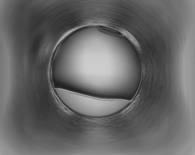 X0000116581052200912101305