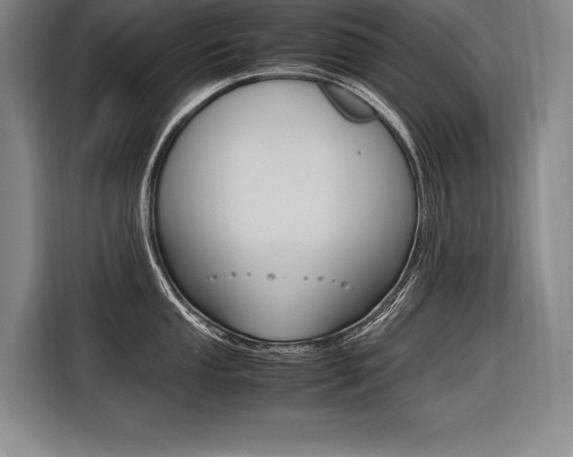 X0000116581053200912101305