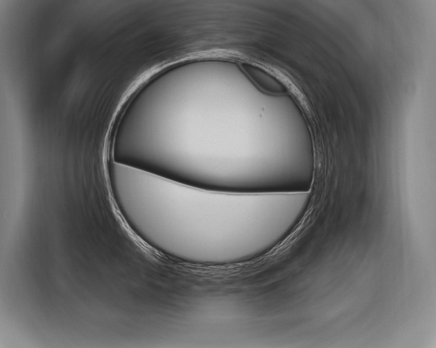 X0000116581054200912101305