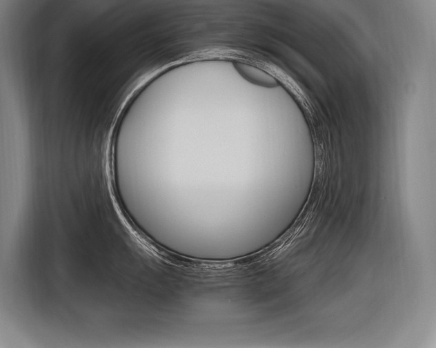 X0000116581055200912101305