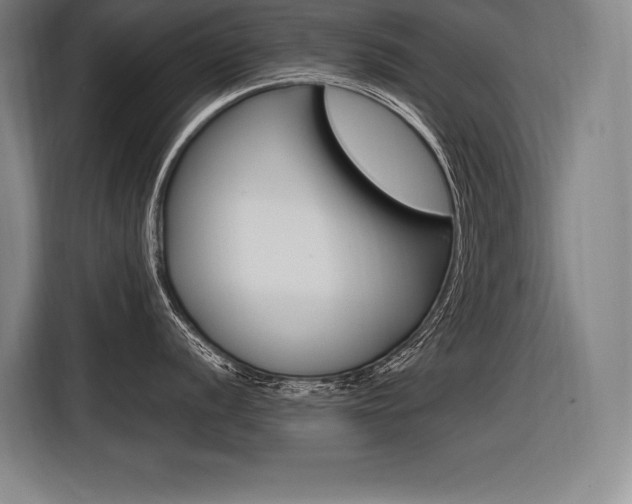 X0000116581056200912101305