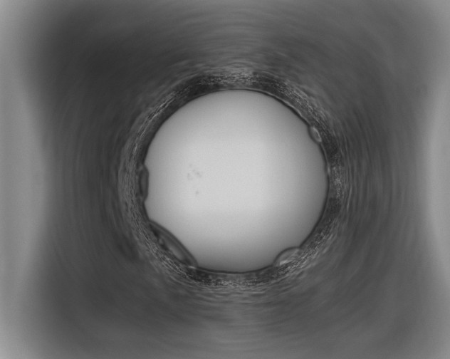 X0000116581057200912101305
