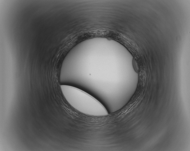 X0000116581058200912101304