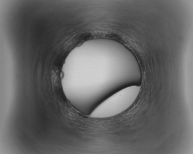 X0000116581059200912101304