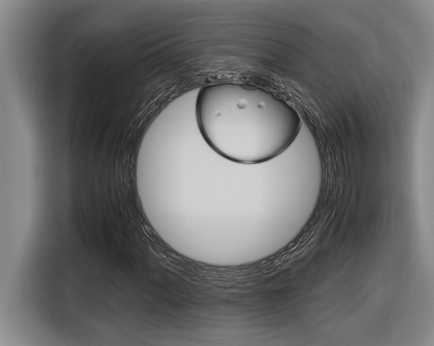 X0000116581060200912101304