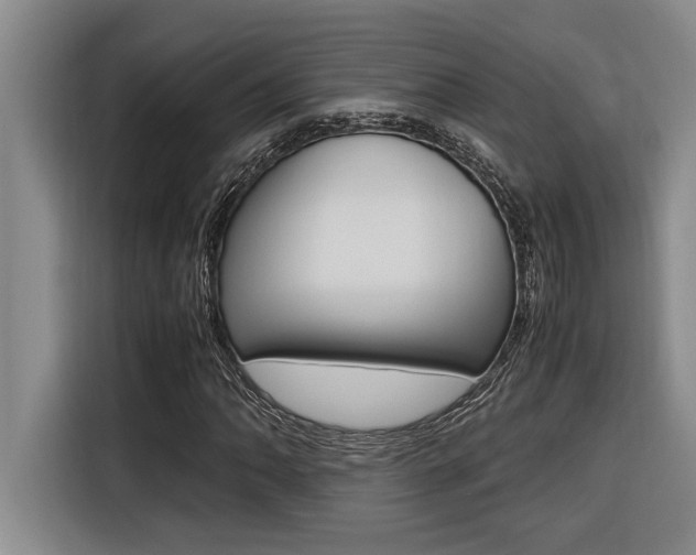 X0000116581062200912101304