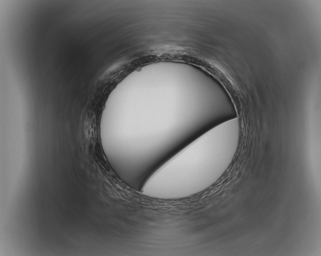 X0000116581063200912101304